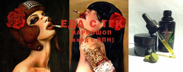 прущий лед Алзамай