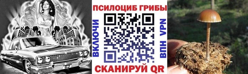 Галлюциногенные грибы MAGIC MUSHROOMS  даркнет состав  Петров Вал 